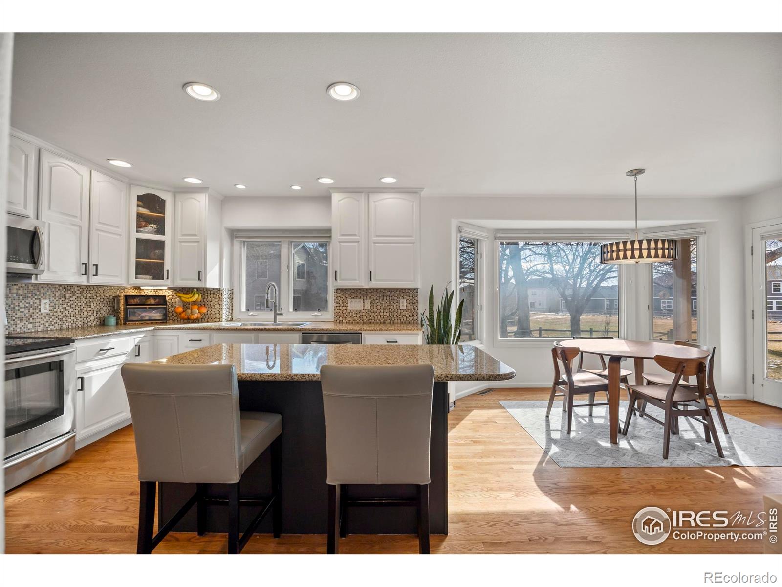 MLS Image #13 for 5624  red willow court,fort collins, Colorado