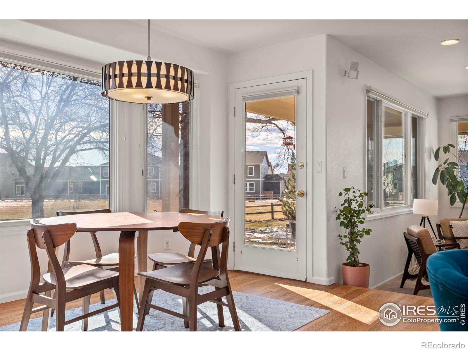 MLS Image #14 for 5624  red willow court,fort collins, Colorado