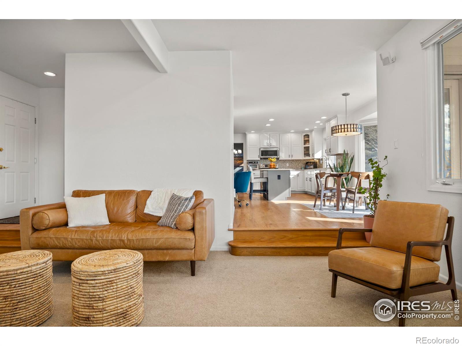 MLS Image #15 for 5624  red willow court,fort collins, Colorado