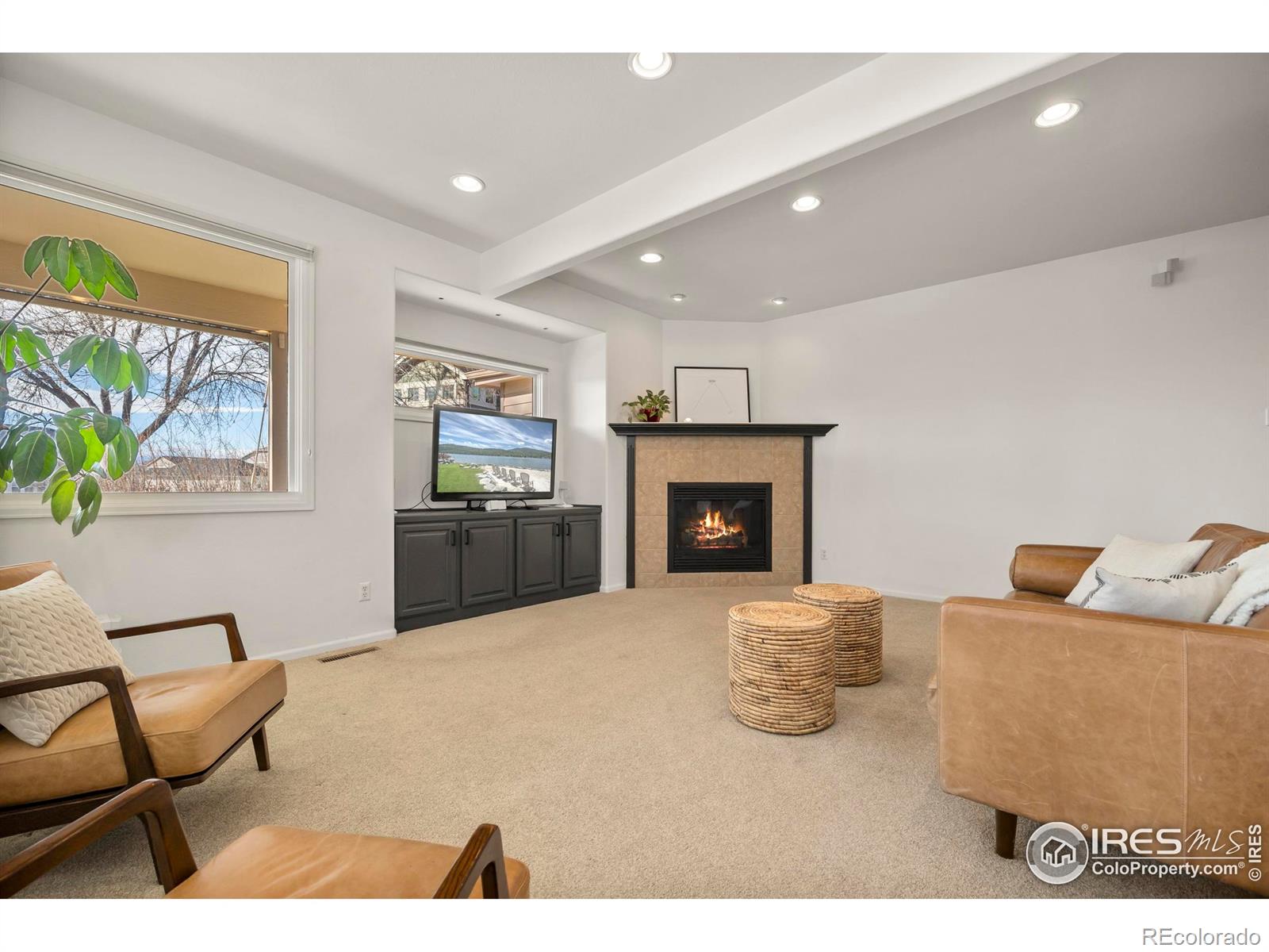 MLS Image #16 for 5624  red willow court,fort collins, Colorado