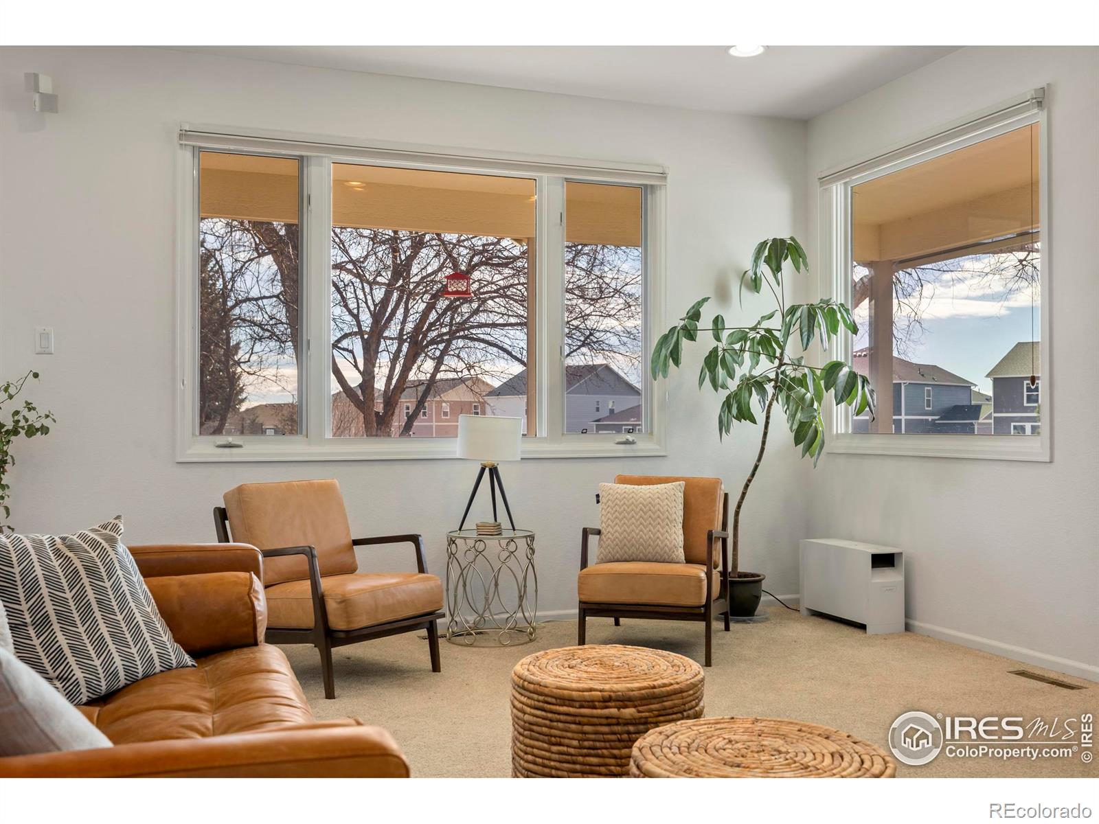 MLS Image #17 for 5624  red willow court,fort collins, Colorado