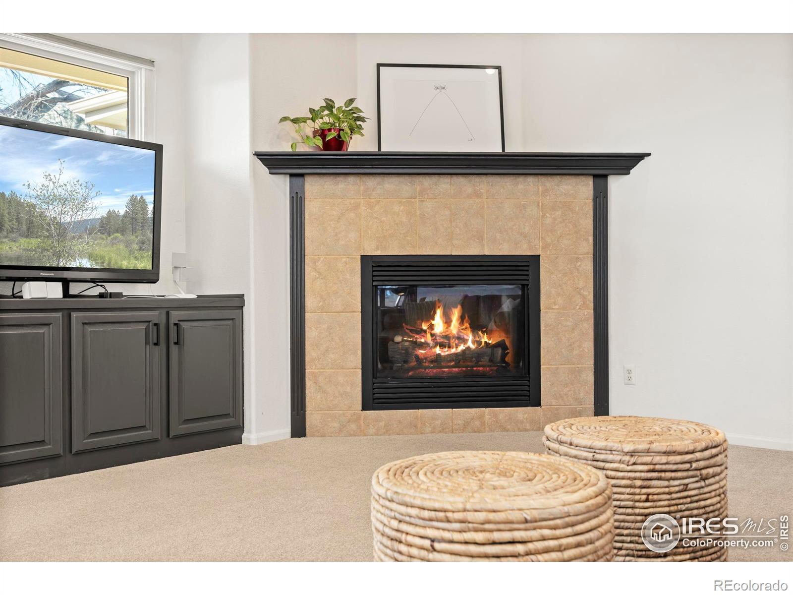 MLS Image #18 for 5624  red willow court,fort collins, Colorado