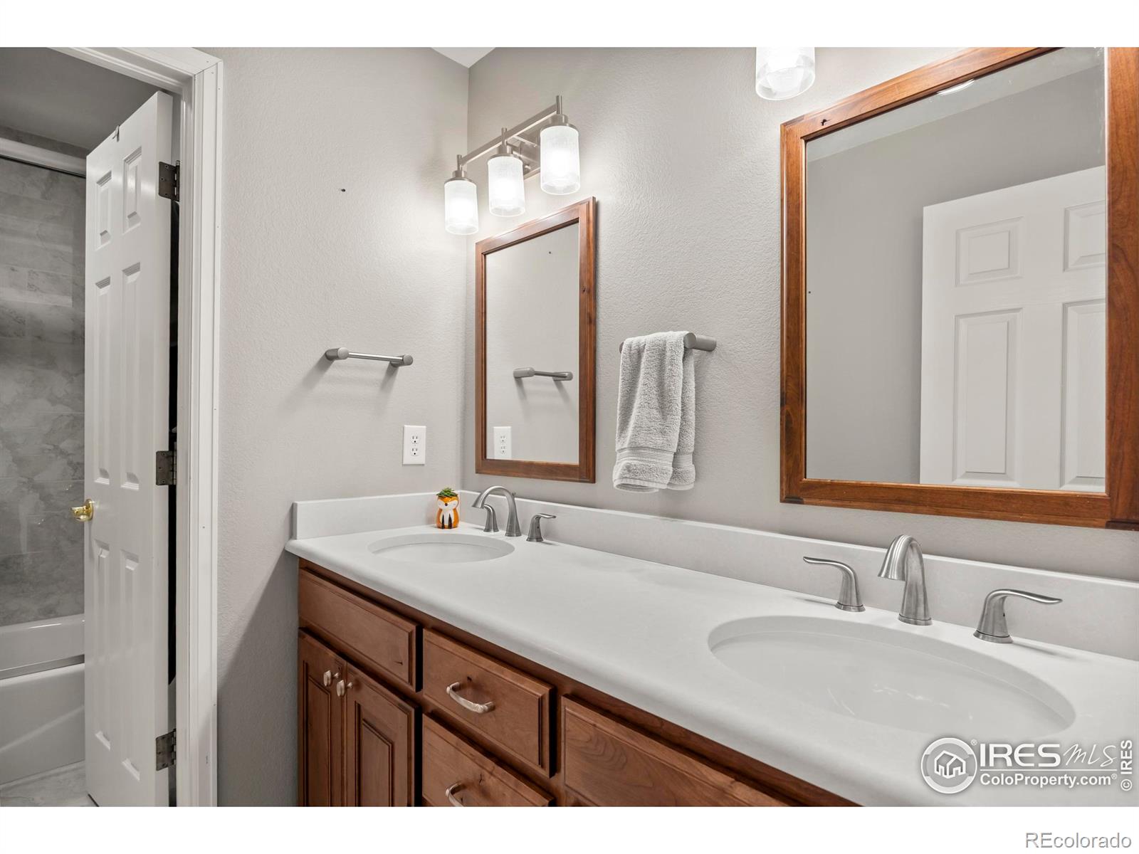 MLS Image #28 for 5624  red willow court,fort collins, Colorado