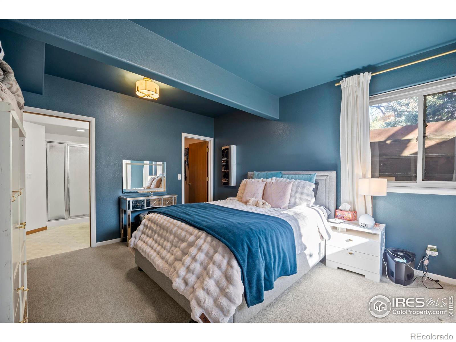 MLS Image #32 for 5624  red willow court,fort collins, Colorado