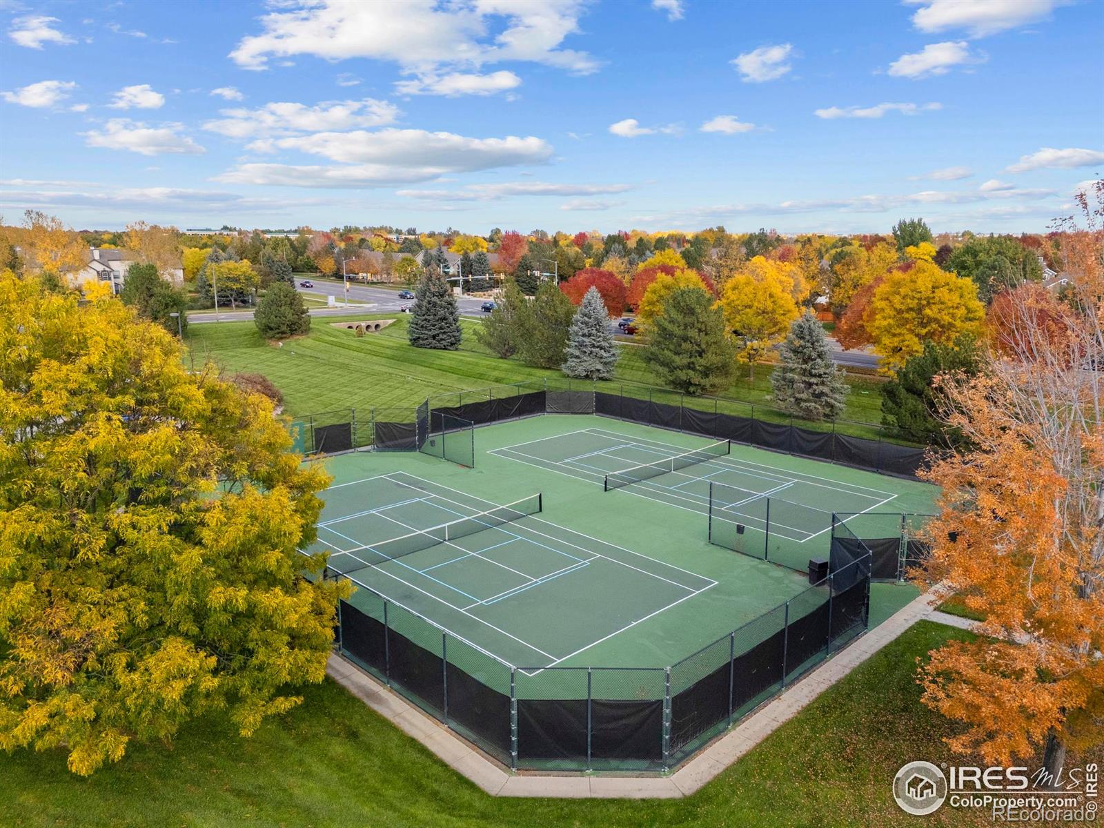 MLS Image #46 for 5624  red willow court,fort collins, Colorado