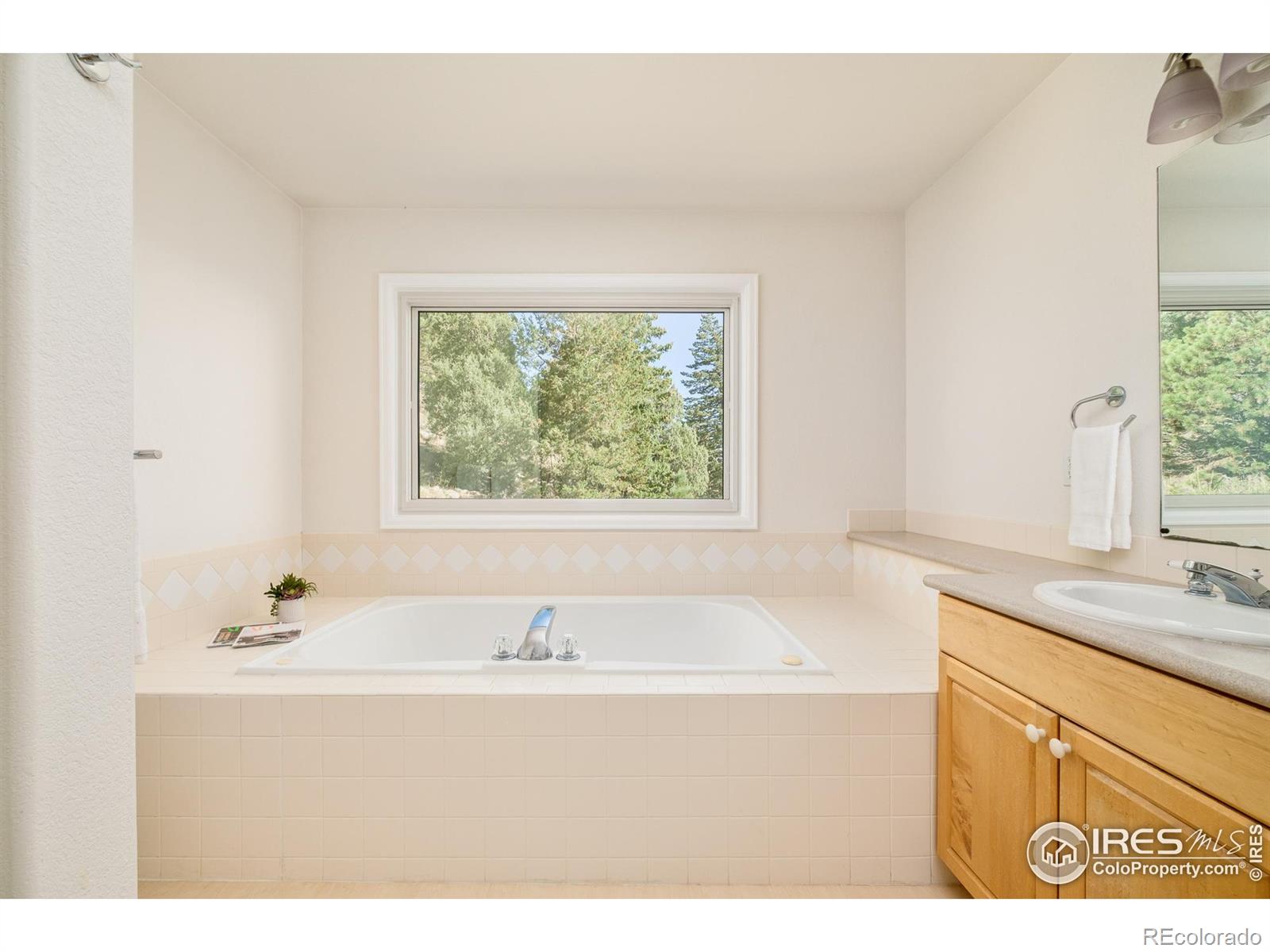 MLS Image #30 for 270  canon view road,boulder, Colorado