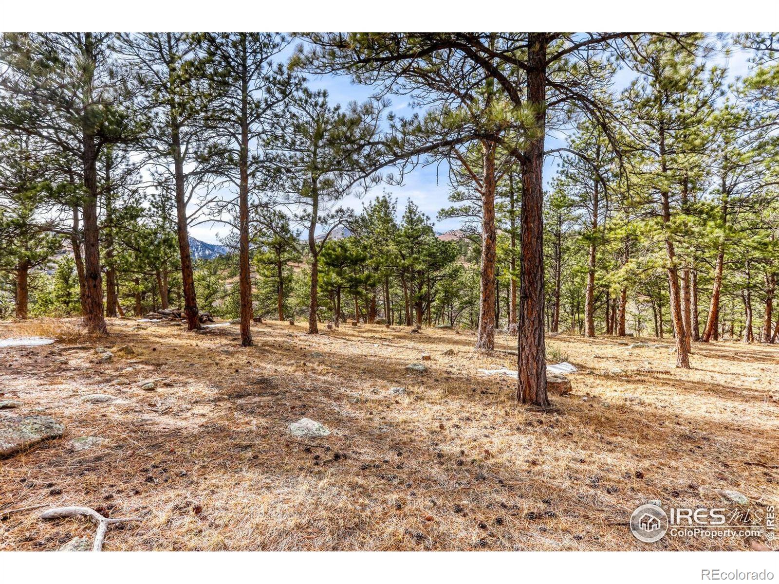 MLS Image #27 for 314  lefthand canyon drive,boulder, Colorado