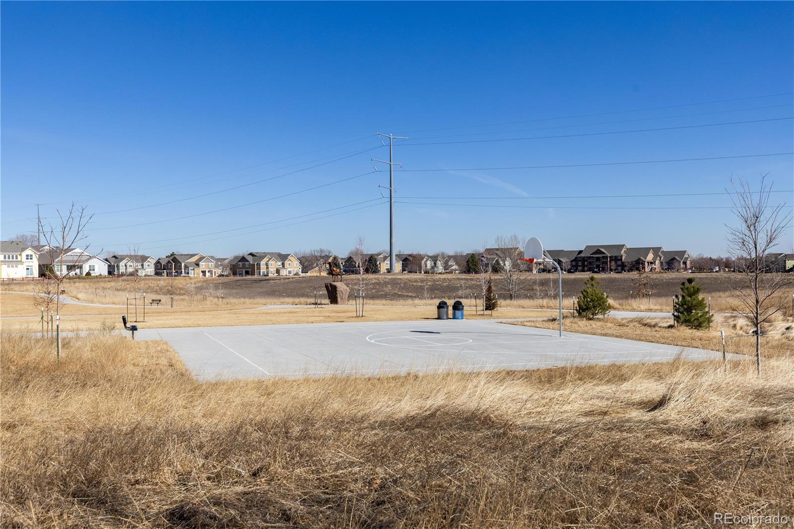 MLS Image #39 for 518  peregrine circle,longmont, Colorado