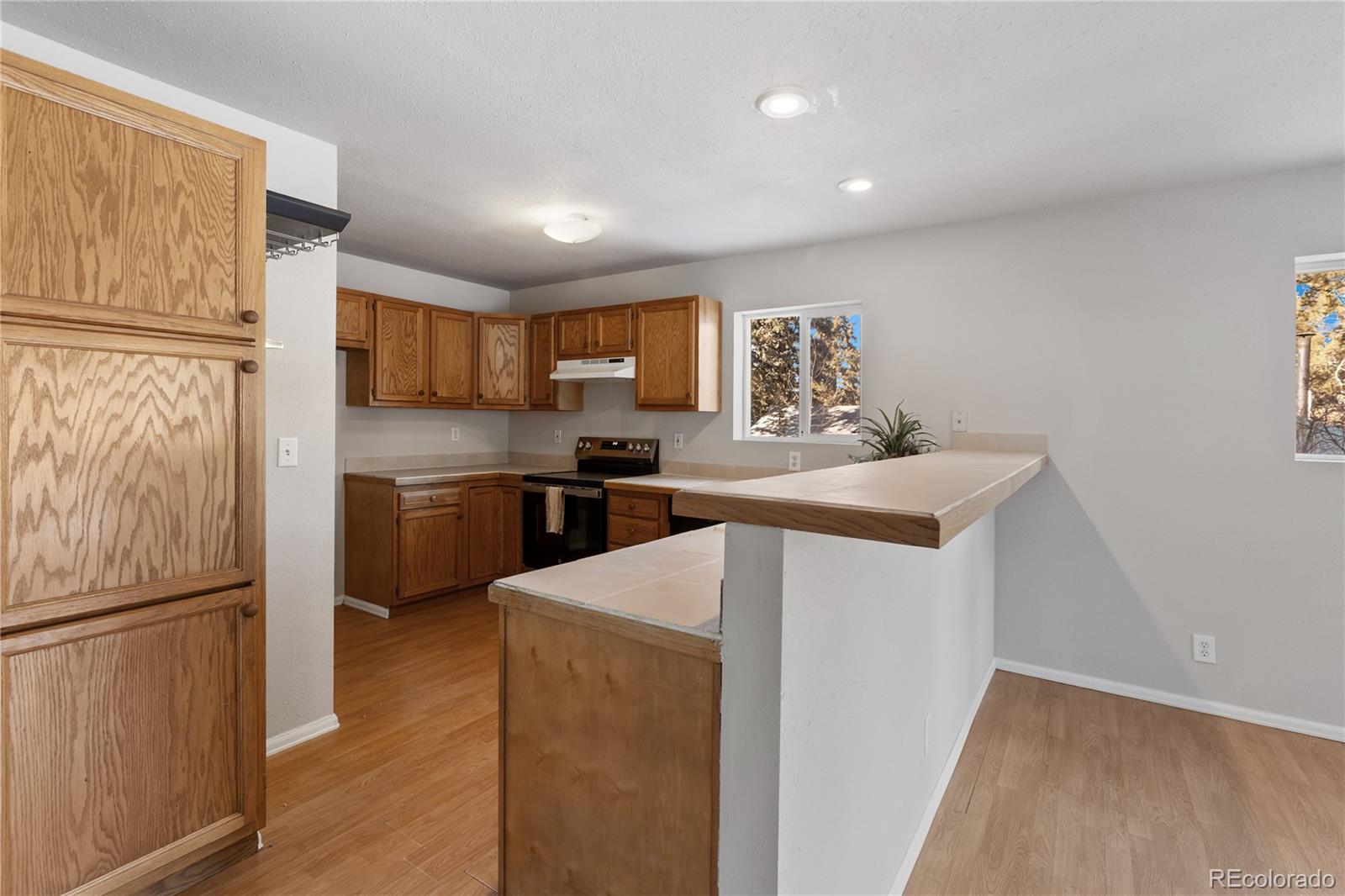 MLS Image #12 for 489 n pine street,woodland park, Colorado
