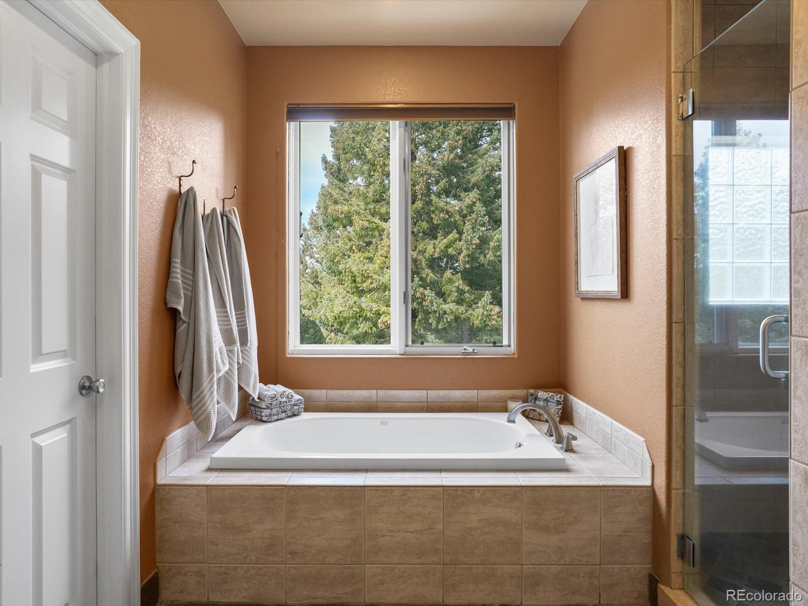 MLS Image #28 for 27267  forest grove road,evergreen, Colorado