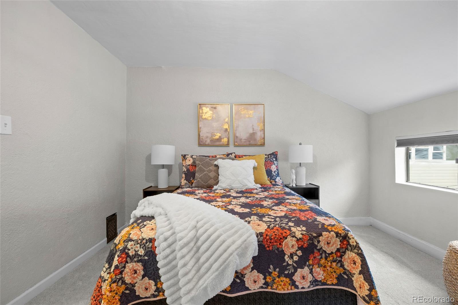 MLS Image #29 for 2836 n josephine street,denver, Colorado