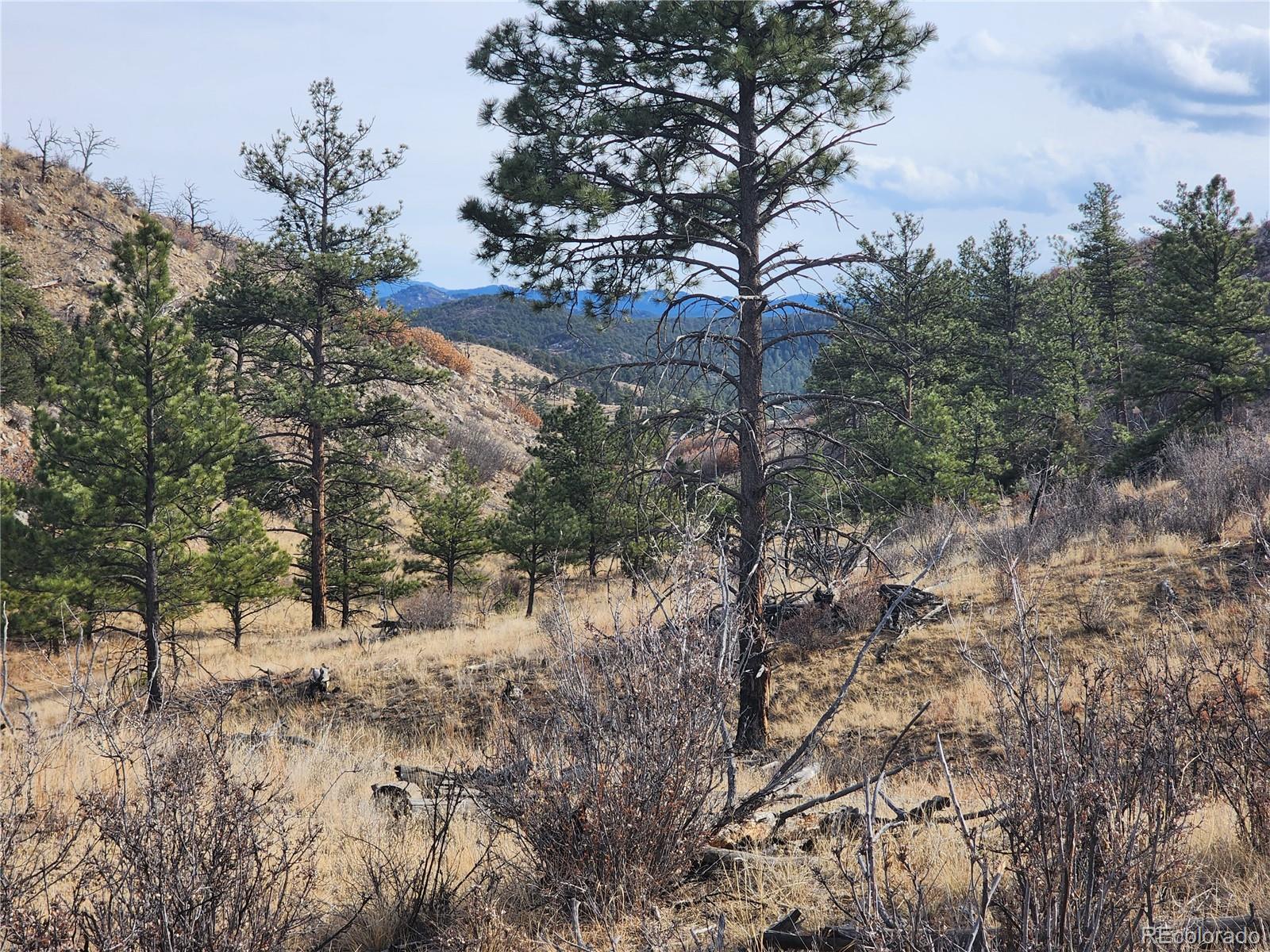 MLS Image #20 for 171  sunset trail,cotopaxi, Colorado