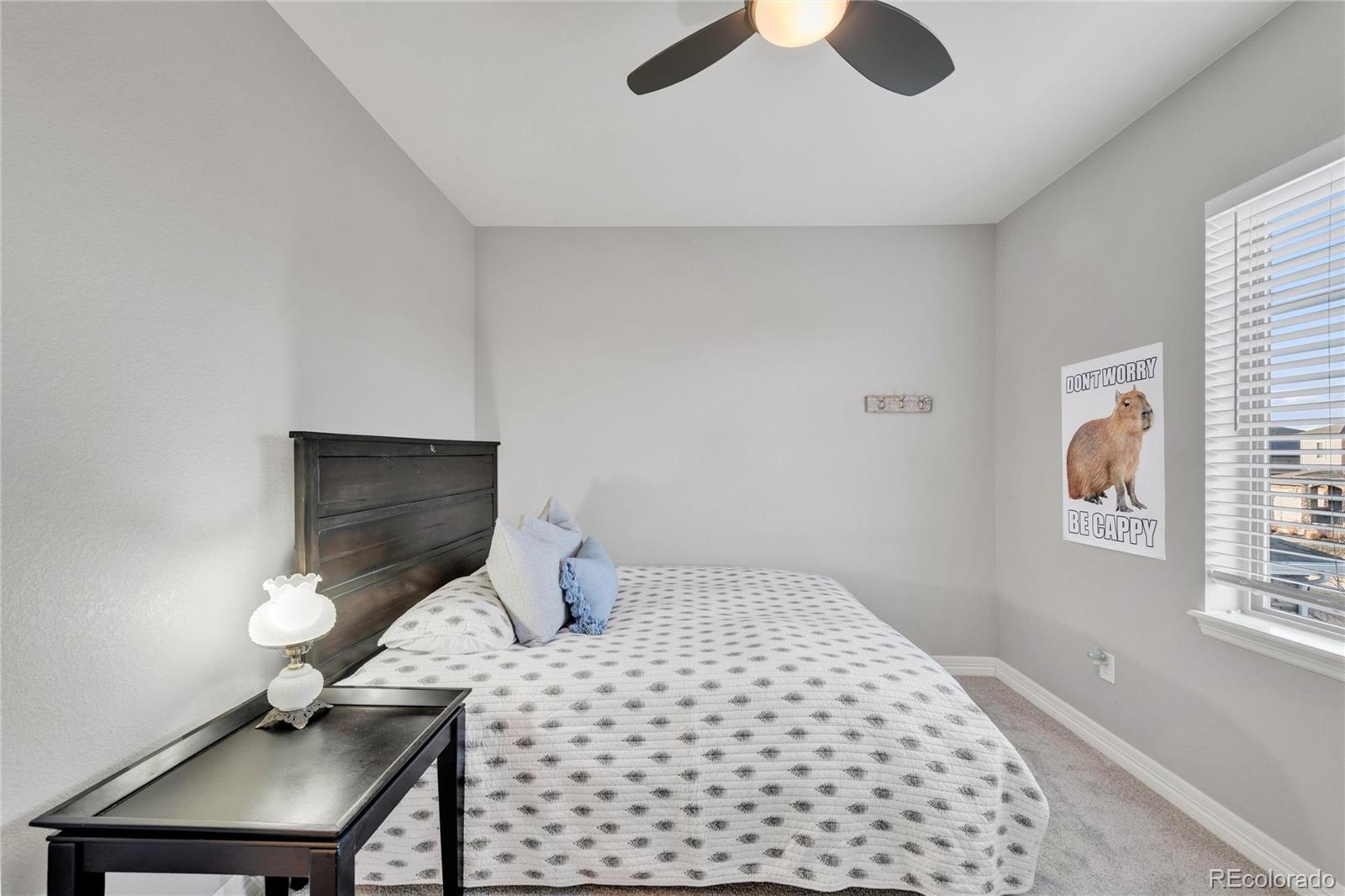 MLS Image #25 for 16554  prospect lane,broomfield, Colorado