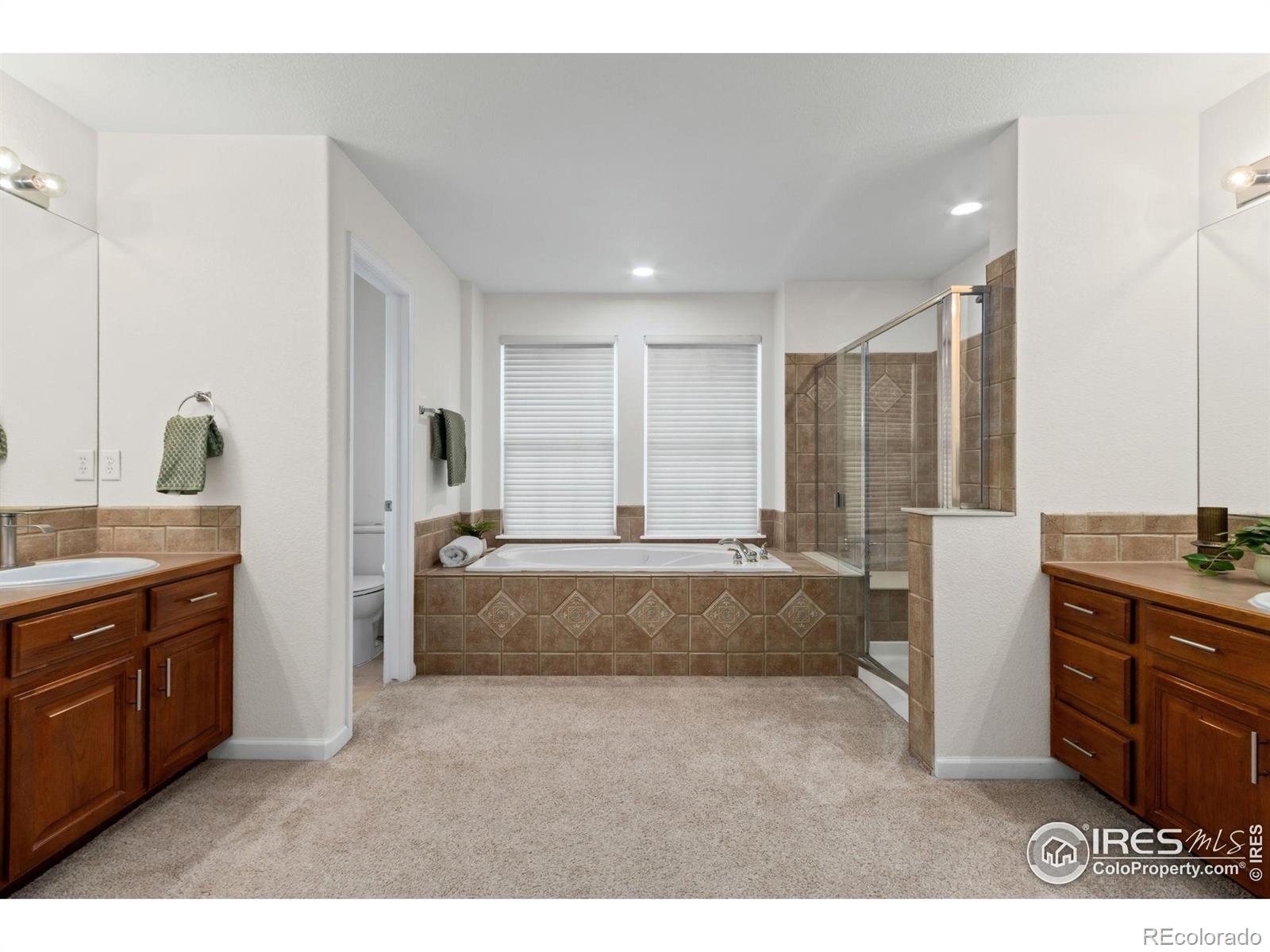 MLS Image #22 for 715  yarnell court,fort collins, Colorado