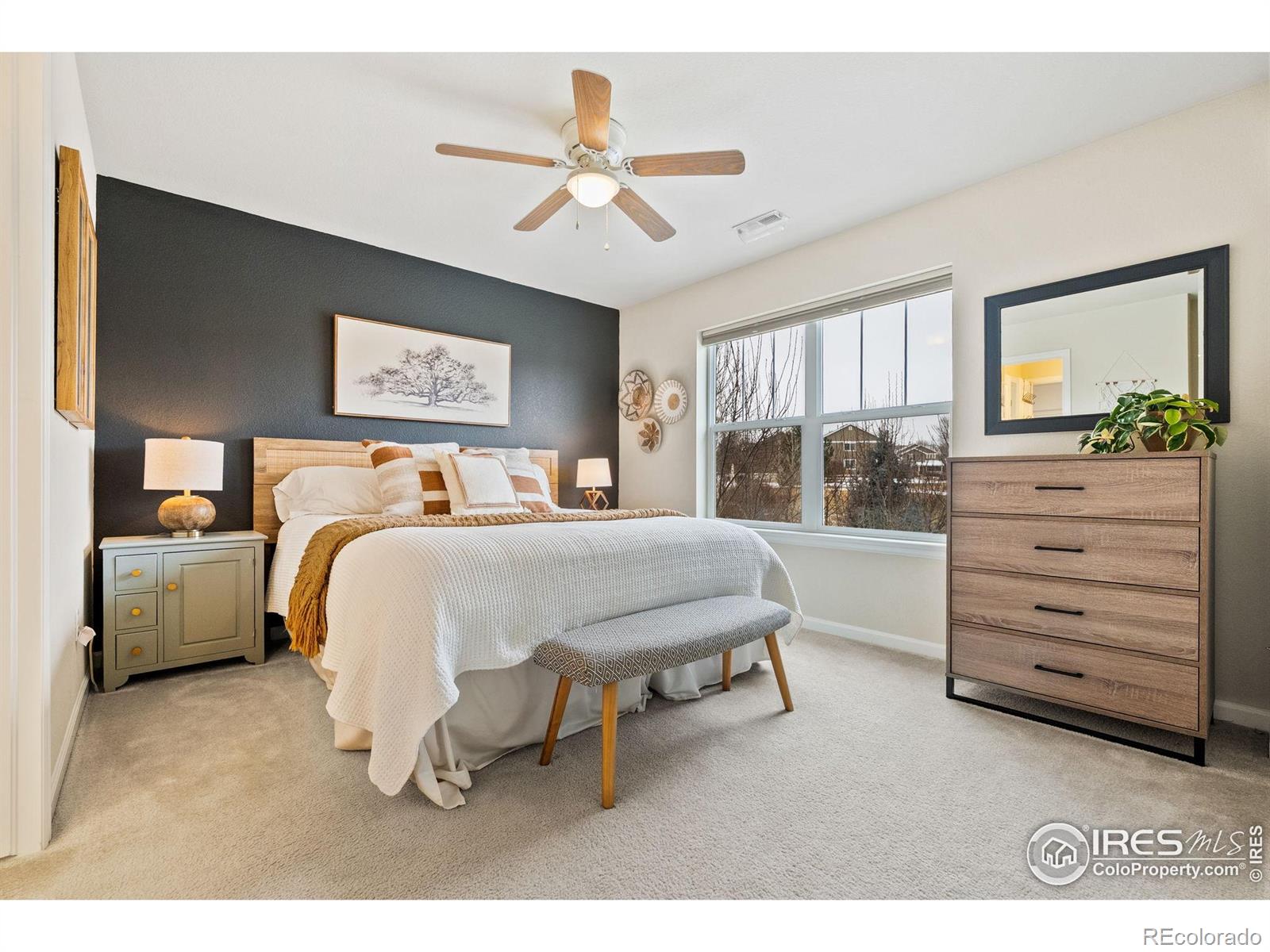 MLS Image #20 for 3251  bryce drive,fort collins, Colorado