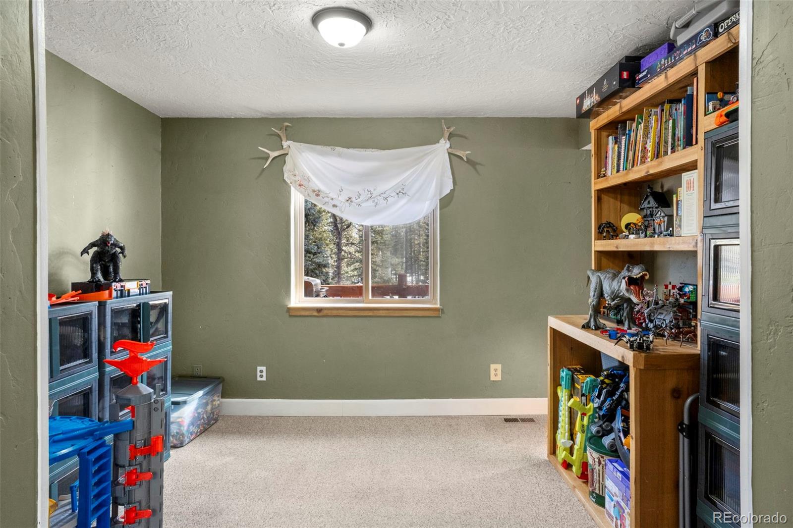 MLS Image #10 for 4076  omer lane,divide, Colorado