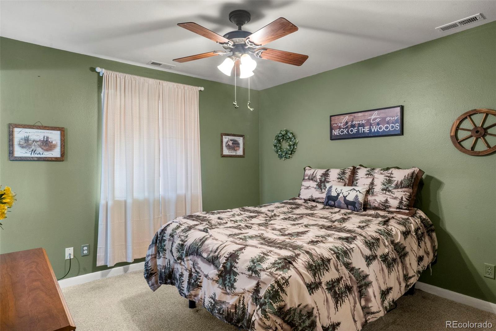 MLS Image #12 for 4076  omer lane,divide, Colorado