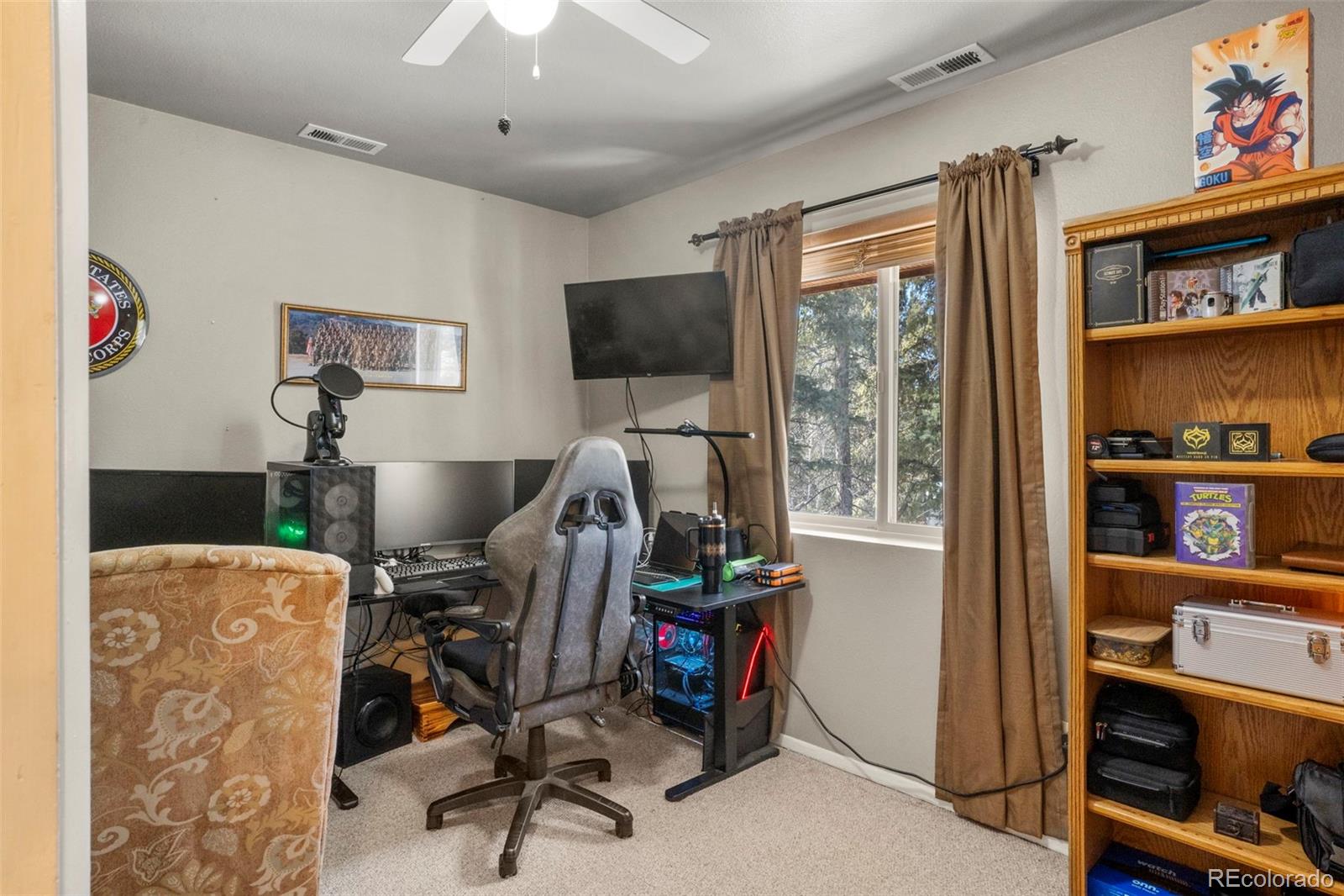 MLS Image #14 for 4076  omer lane,divide, Colorado