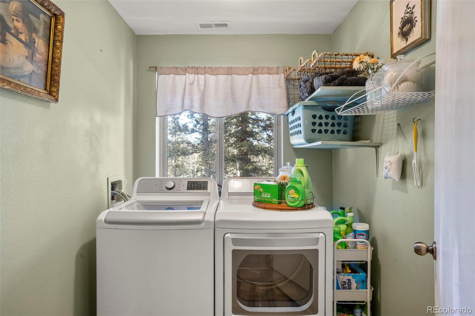 MLS Image #15 for 4076  omer lane,divide, Colorado
