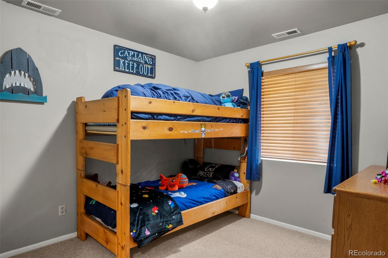 MLS Image #17 for 4076  omer lane,divide, Colorado