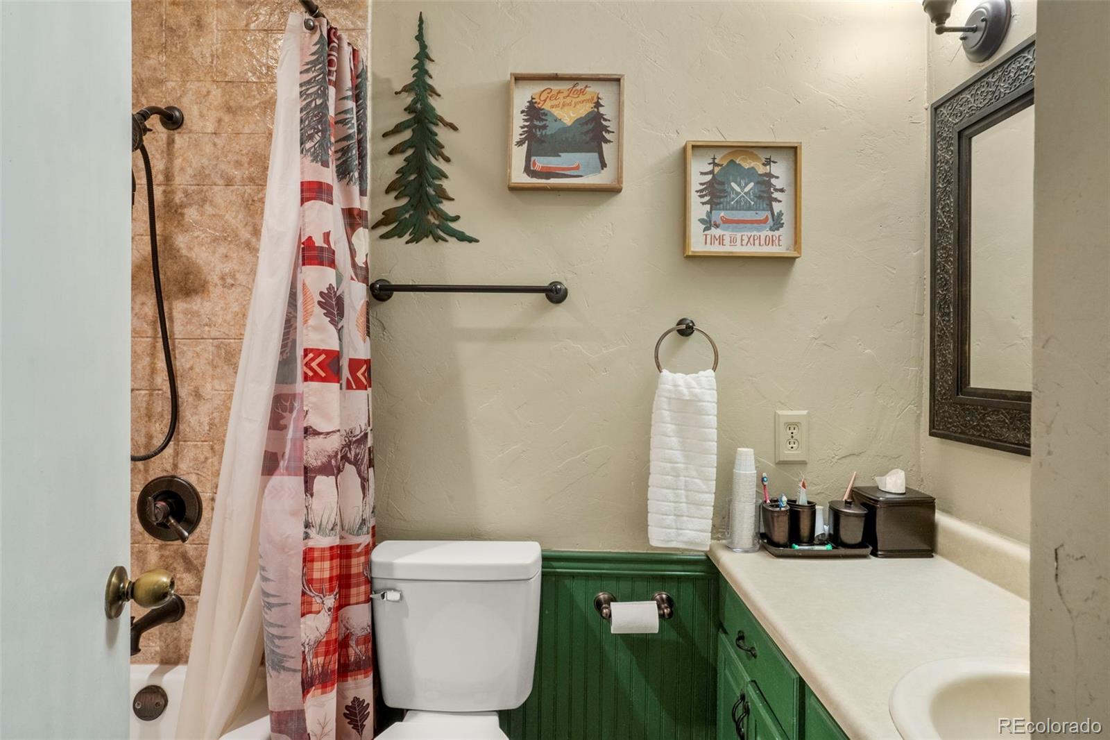 MLS Image #18 for 4076  omer lane,divide, Colorado