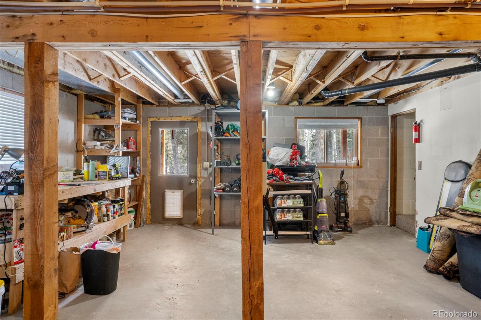 MLS Image #19 for 4076  omer lane,divide, Colorado
