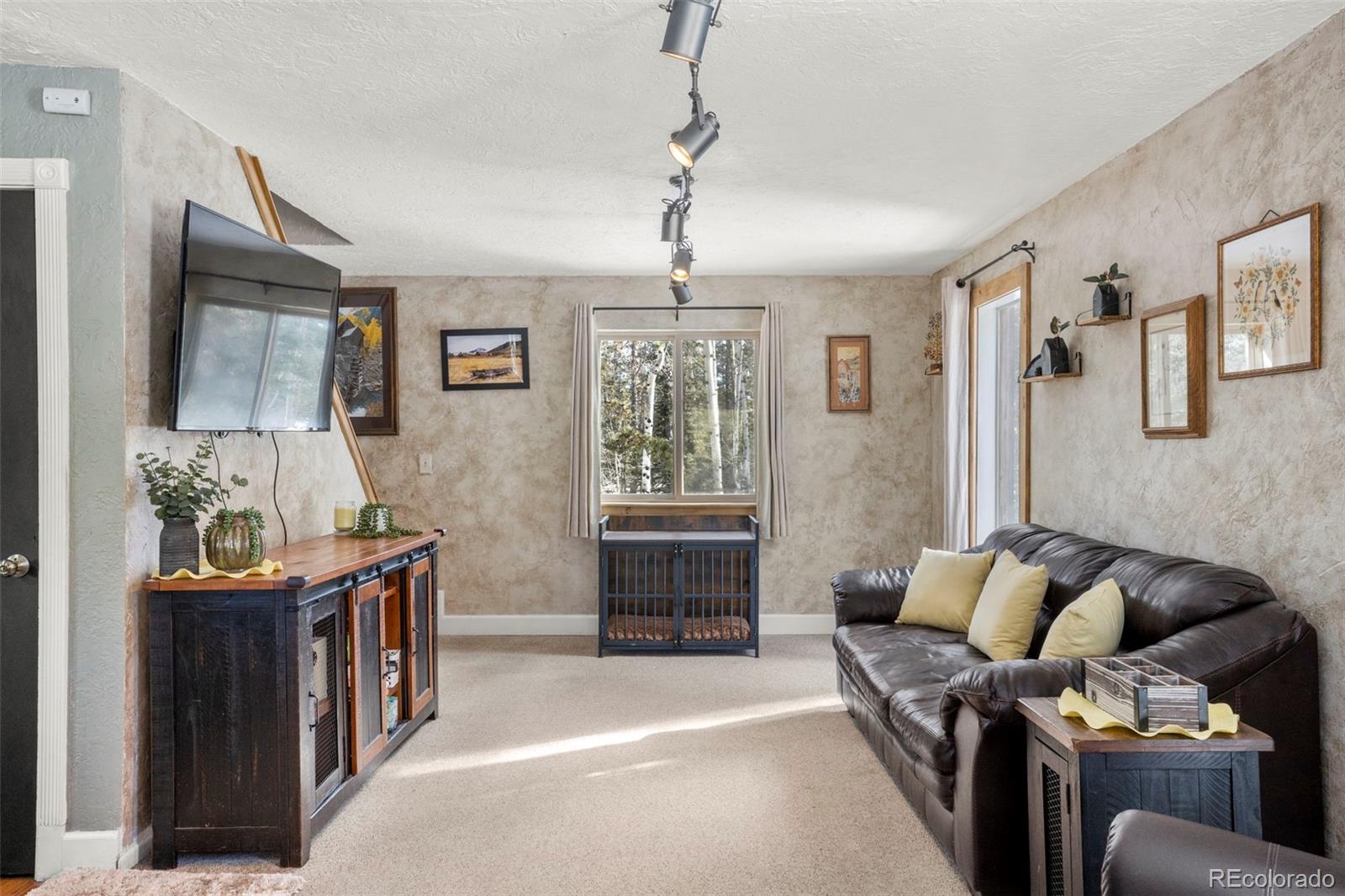 MLS Image #2 for 4076  omer lane,divide, Colorado