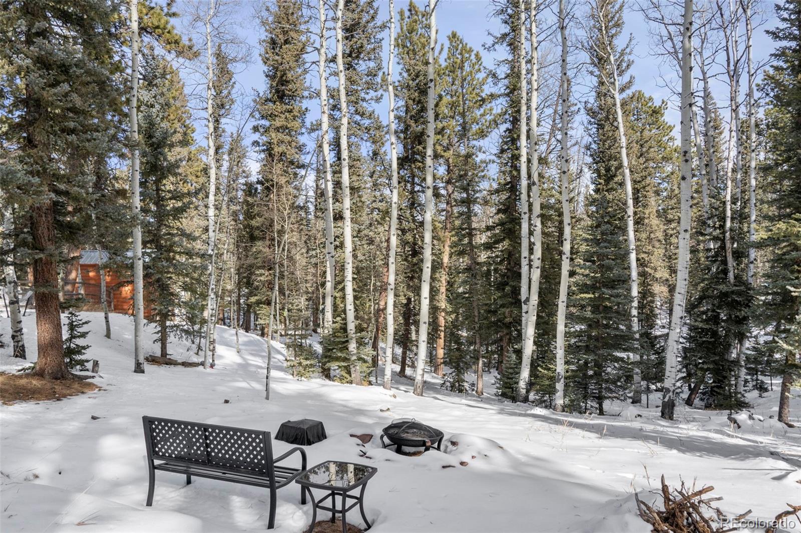 MLS Image #25 for 4076  omer lane,divide, Colorado
