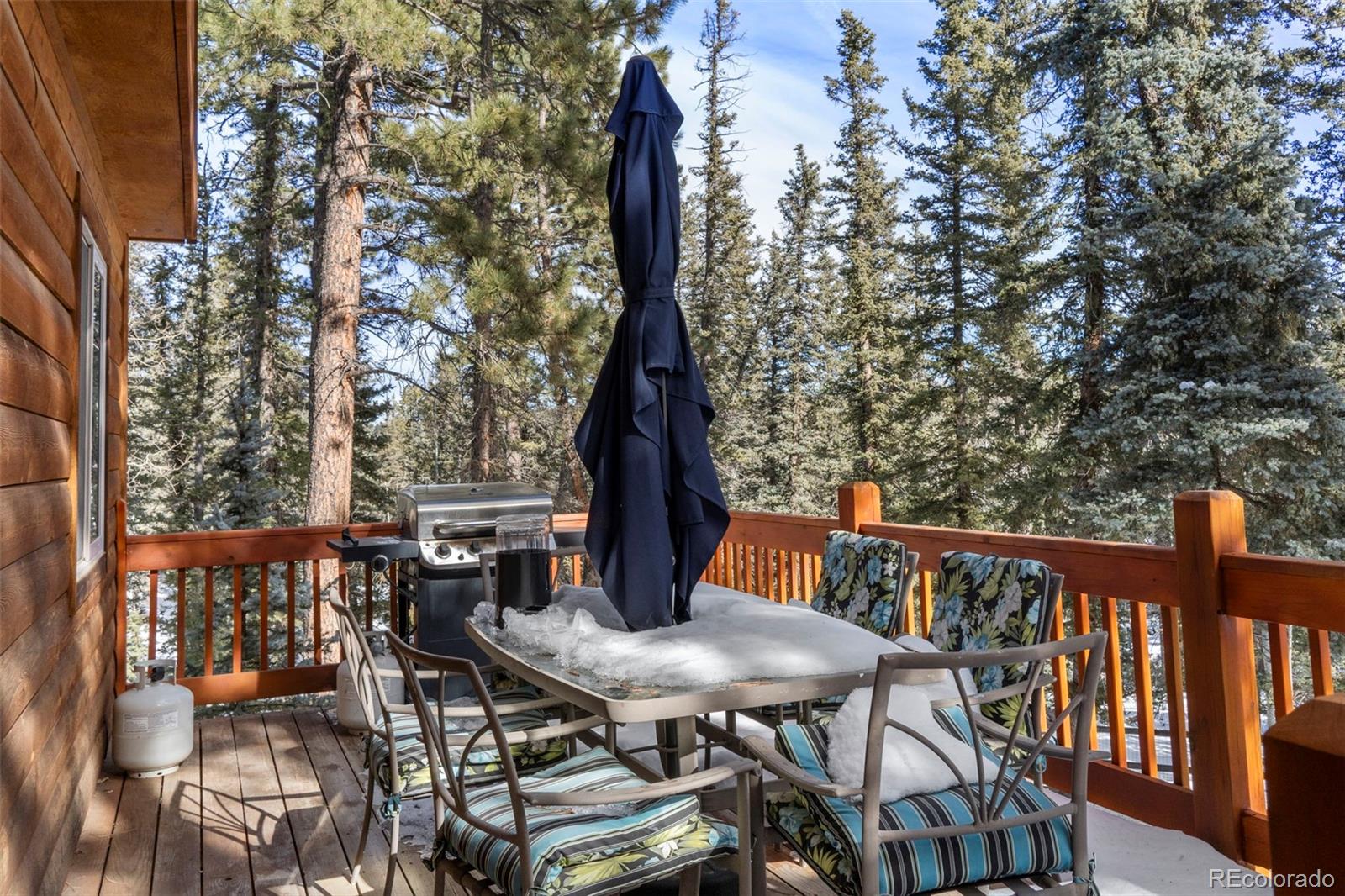 MLS Image #27 for 4076  omer lane,divide, Colorado