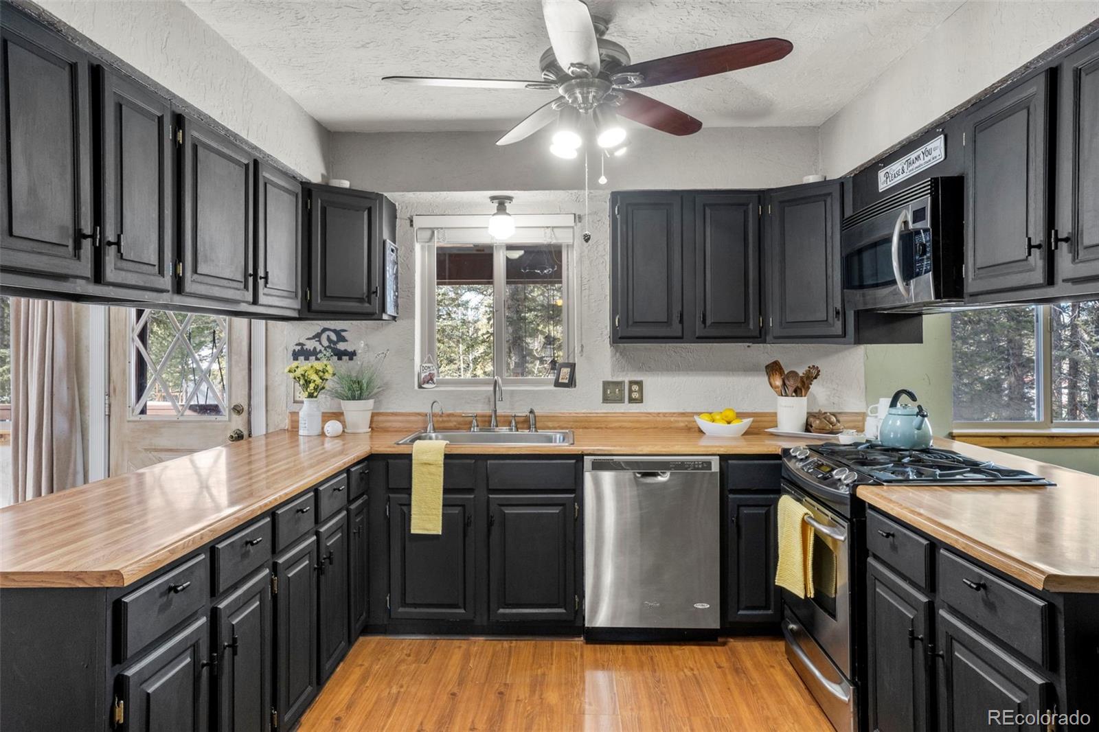 MLS Image #5 for 4076  omer lane,divide, Colorado