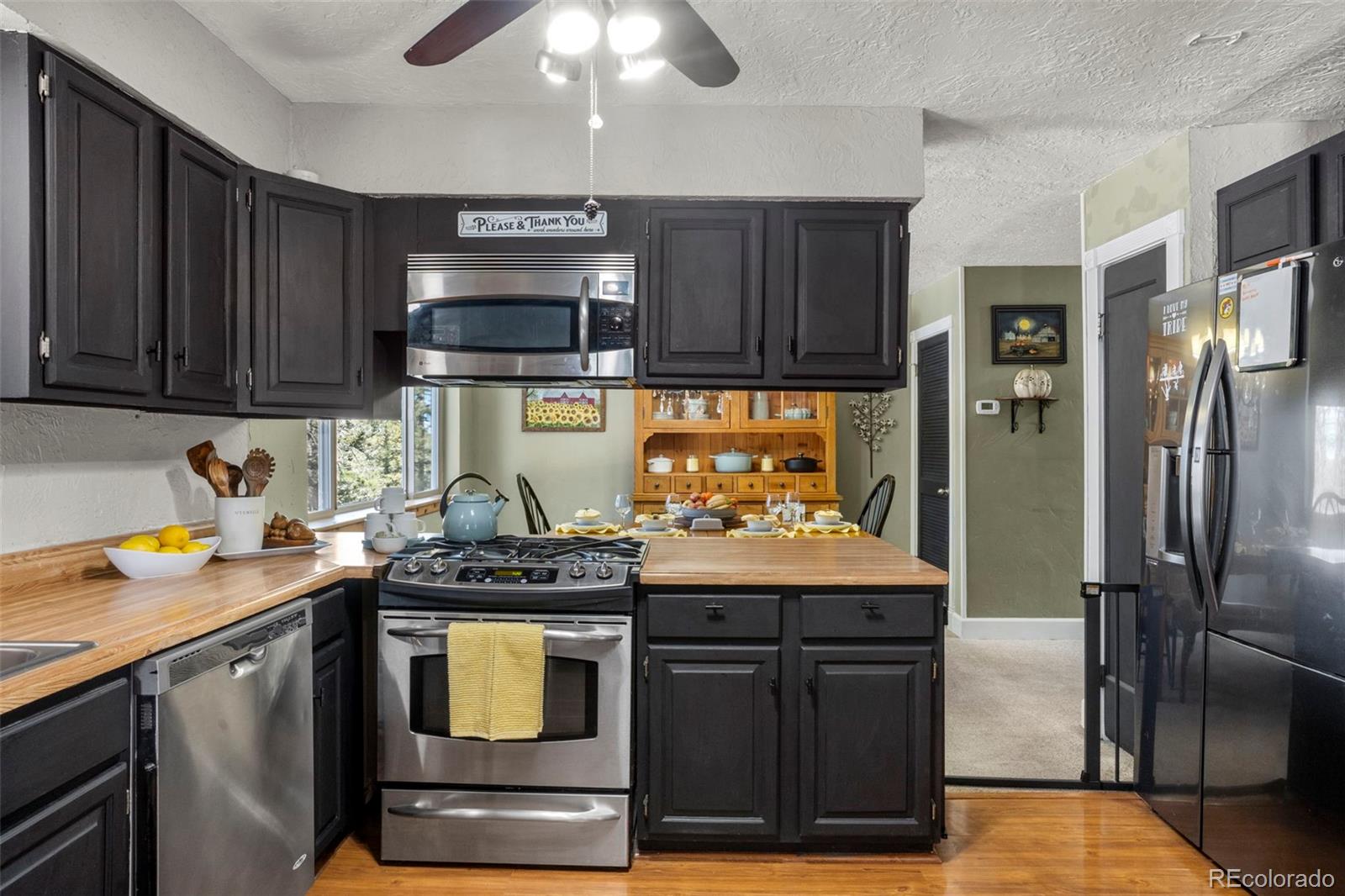 MLS Image #7 for 4076  omer lane,divide, Colorado