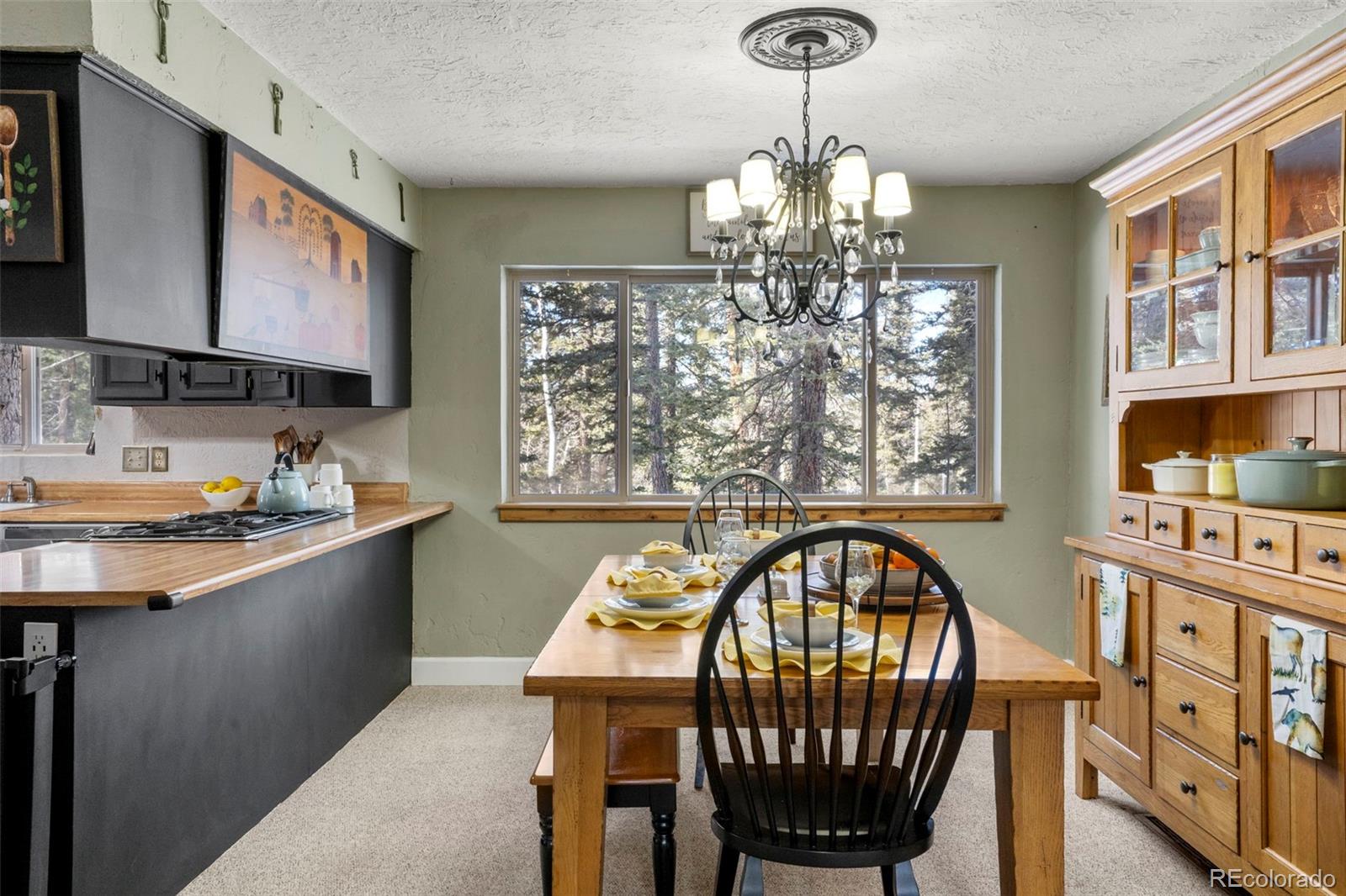 MLS Image #8 for 4076  omer lane,divide, Colorado
