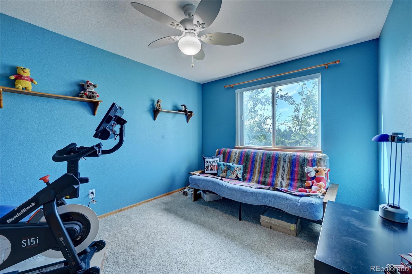 MLS Image #29 for 8453  bed straw street,parker, Colorado