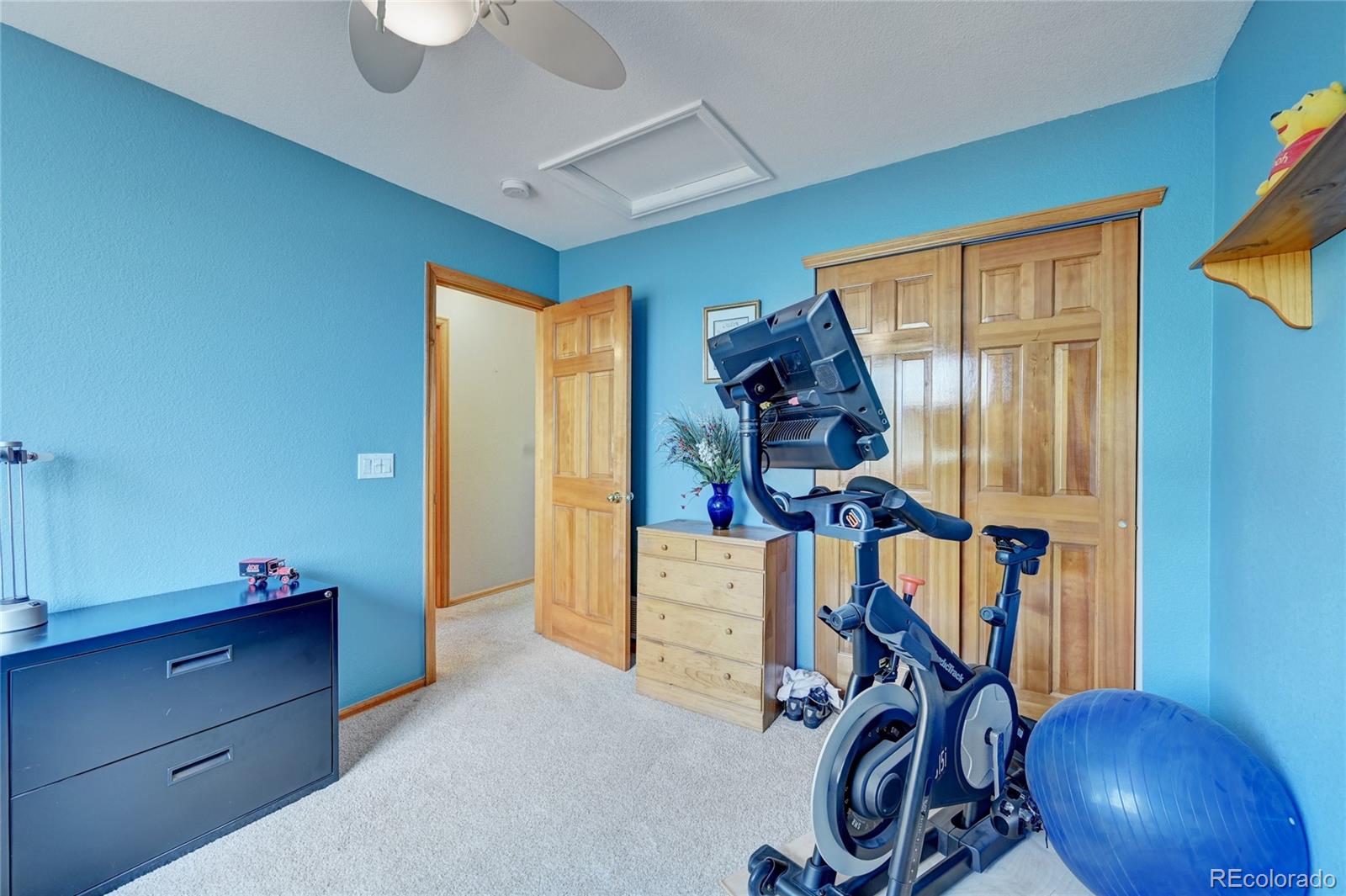 MLS Image #30 for 8453  bed straw street,parker, Colorado