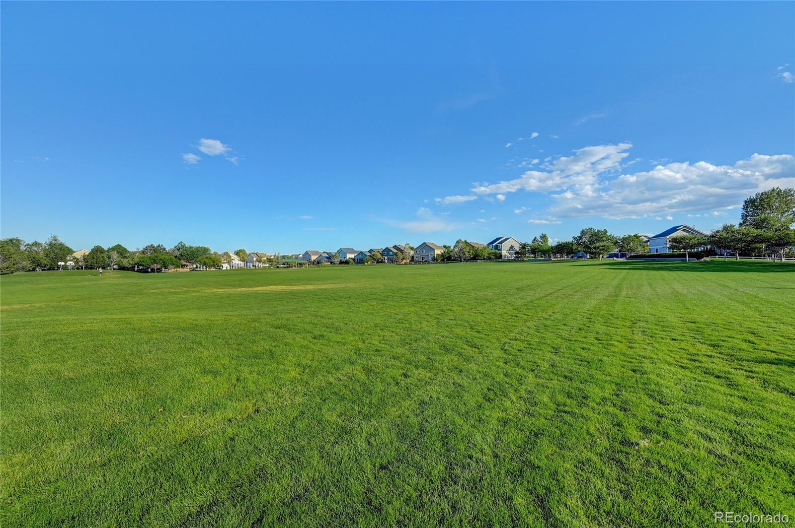 MLS Image #44 for 8453  bed straw street,parker, Colorado