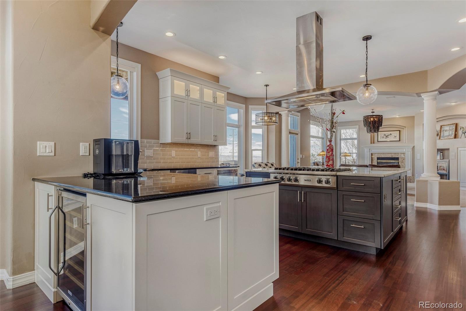 MLS Image #10 for 10653  lieter place,lone tree, Colorado