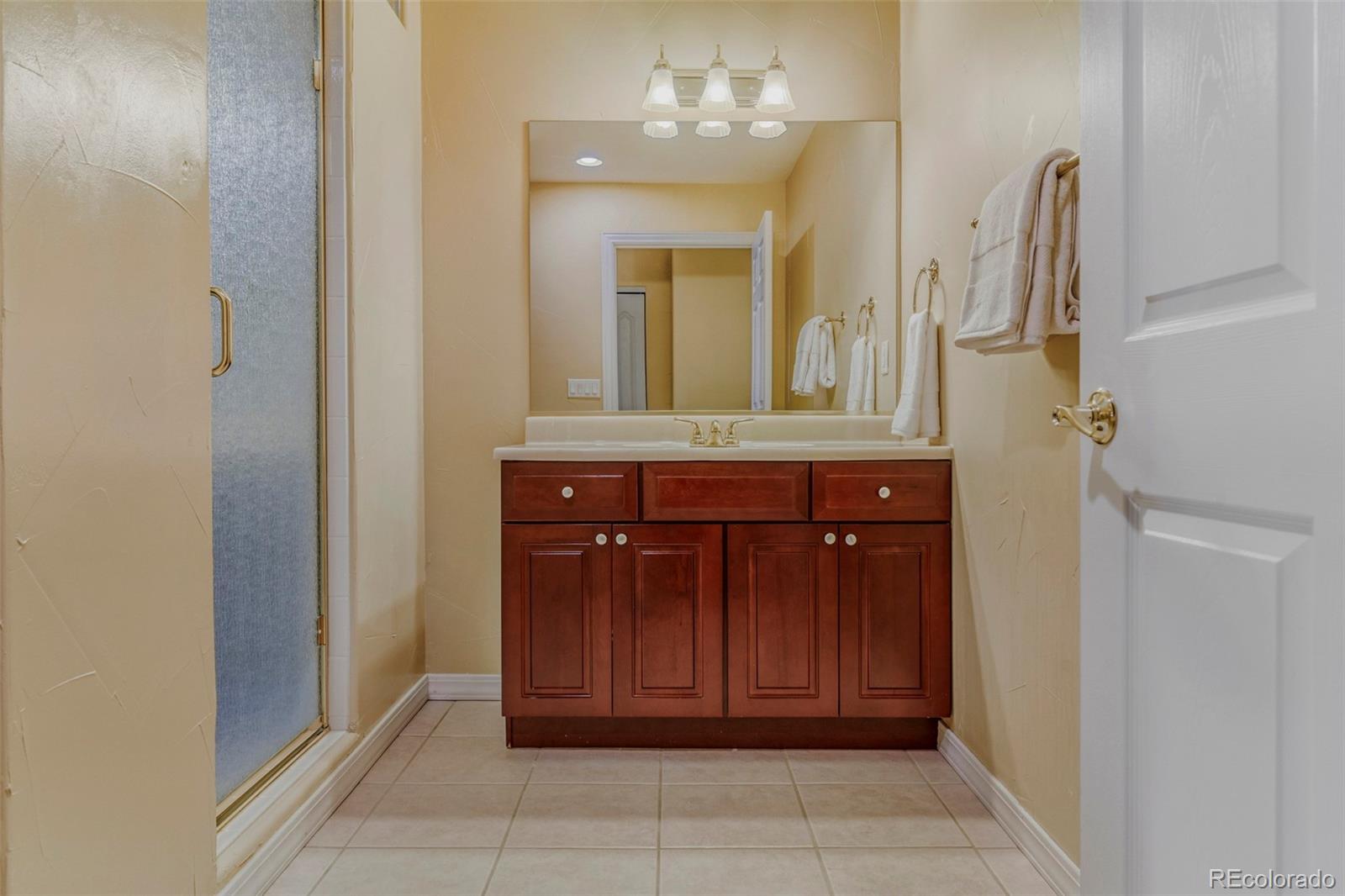 MLS Image #37 for 10653  lieter place,lone tree, Colorado