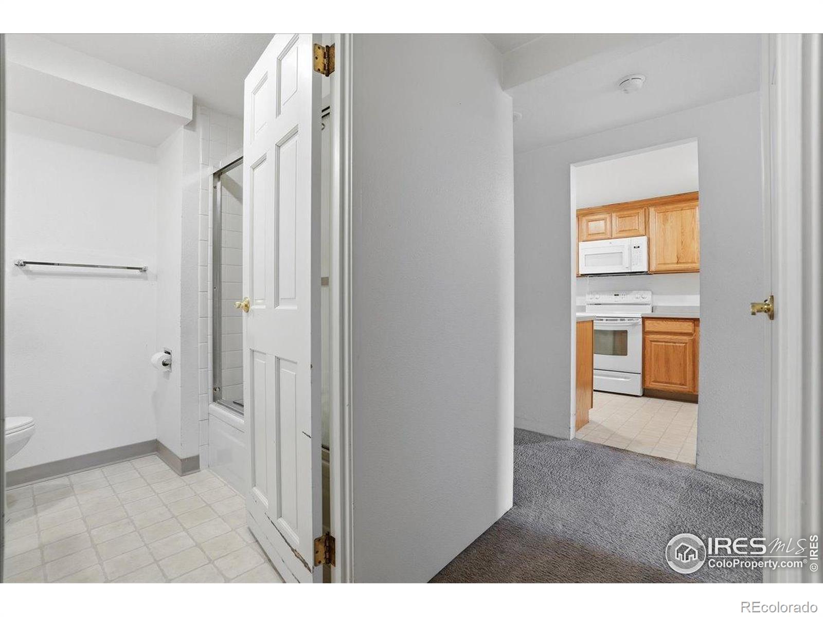 MLS Image #21 for 415 s howes street,fort collins, Colorado