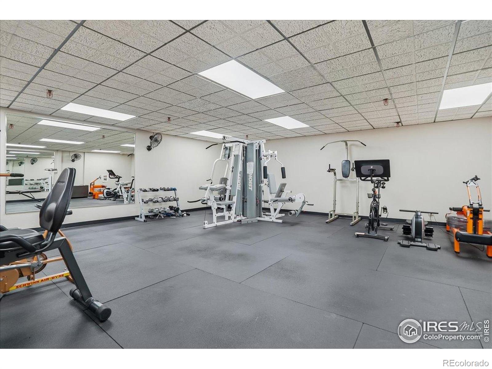 MLS Image #31 for 415 s howes street,fort collins, Colorado