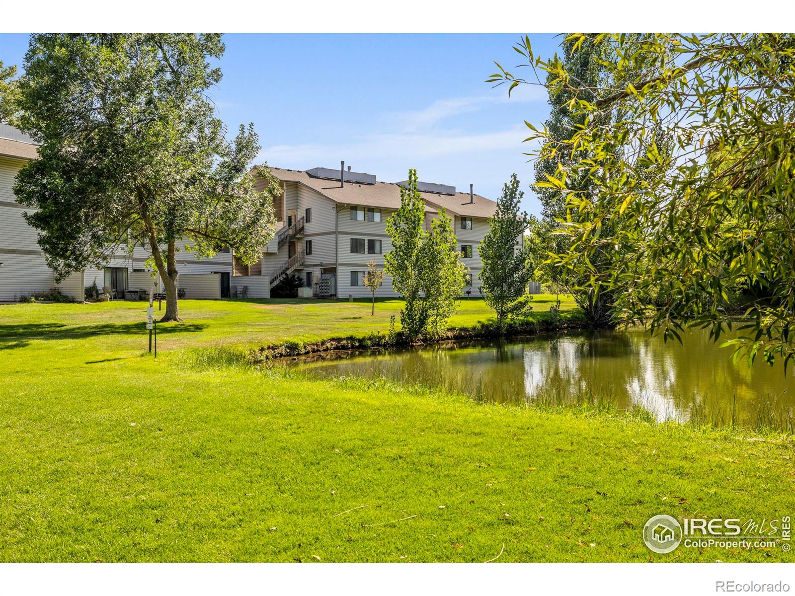 MLS Image #5 for 1705  heatheridge road,fort collins, Colorado