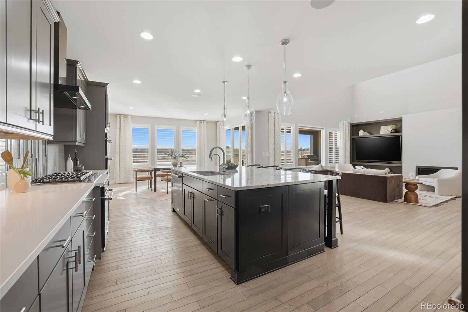 MLS Image #14 for 8272 s langdale way,aurora, Colorado