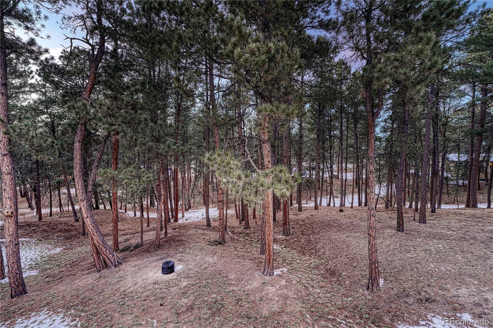 MLS Image #41 for 18150  bakers farm road,colorado springs, Colorado
