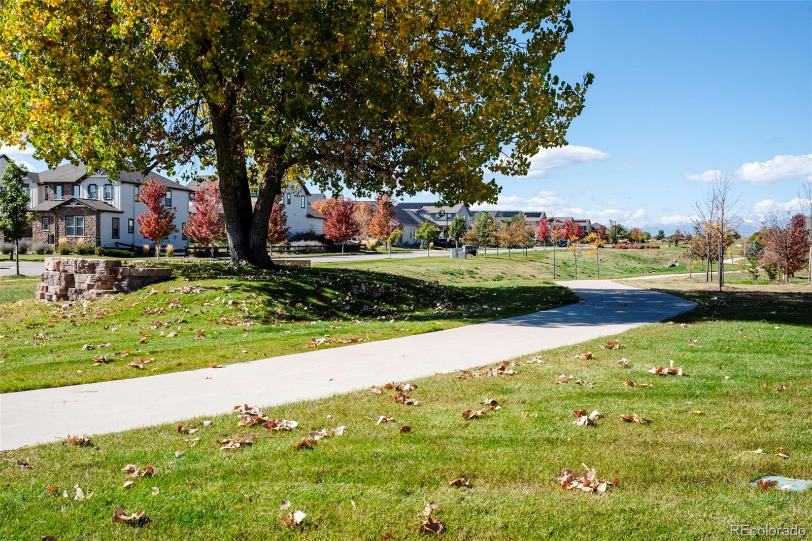 MLS Image #44 for 702  drake avenue,erie, Colorado