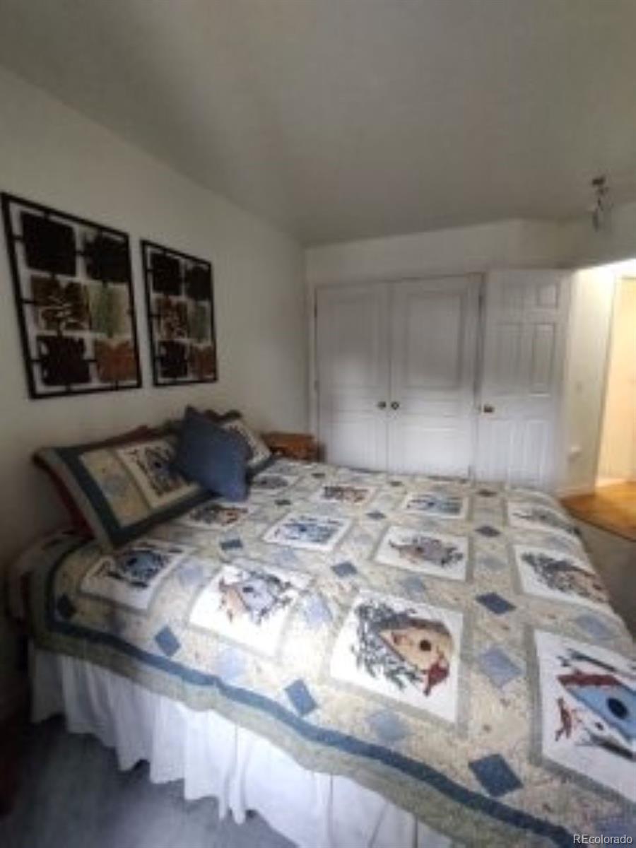 MLS Image #13 for 840  cloud cap avenue,pagosa springs, Colorado