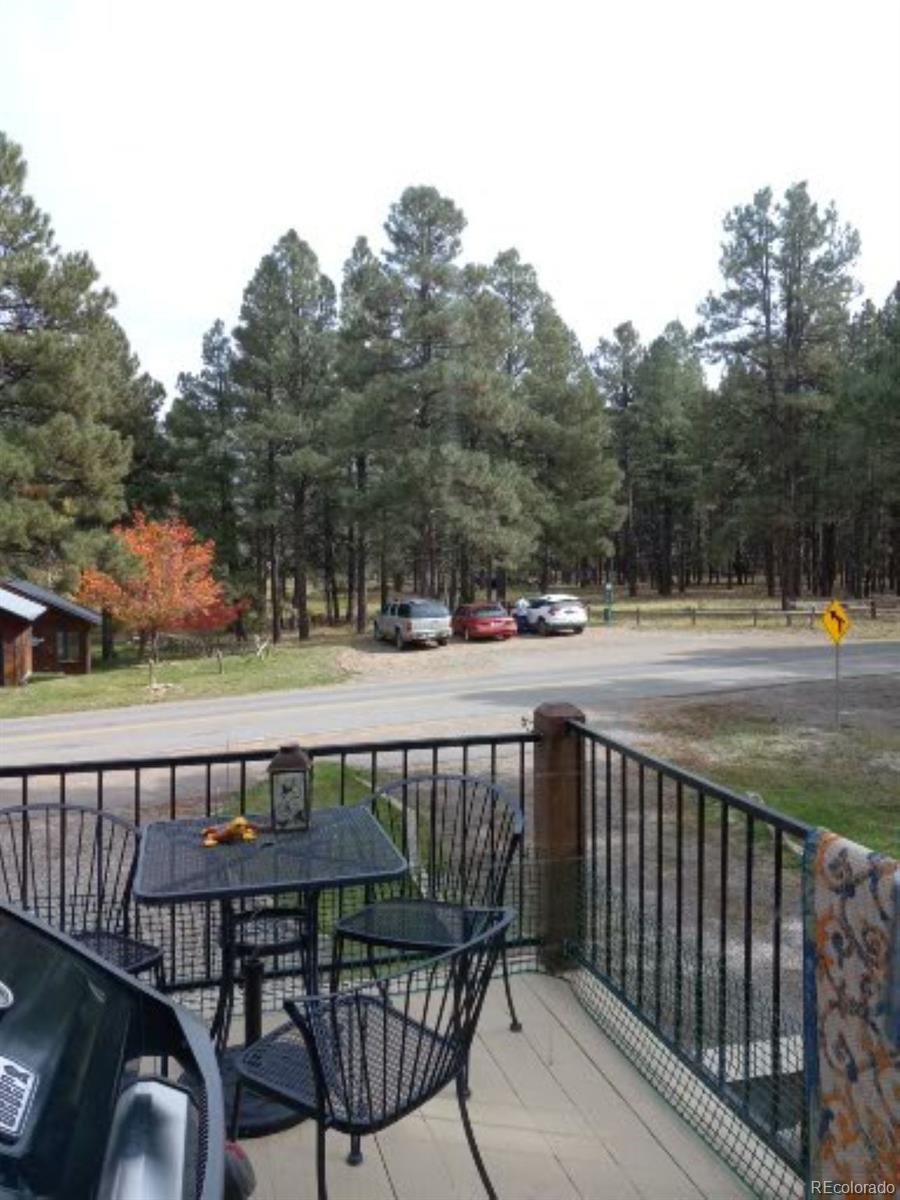 MLS Image #18 for 840  cloud cap avenue,pagosa springs, Colorado