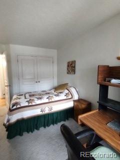 MLS Image #19 for 840  cloud cap avenue,pagosa springs, Colorado