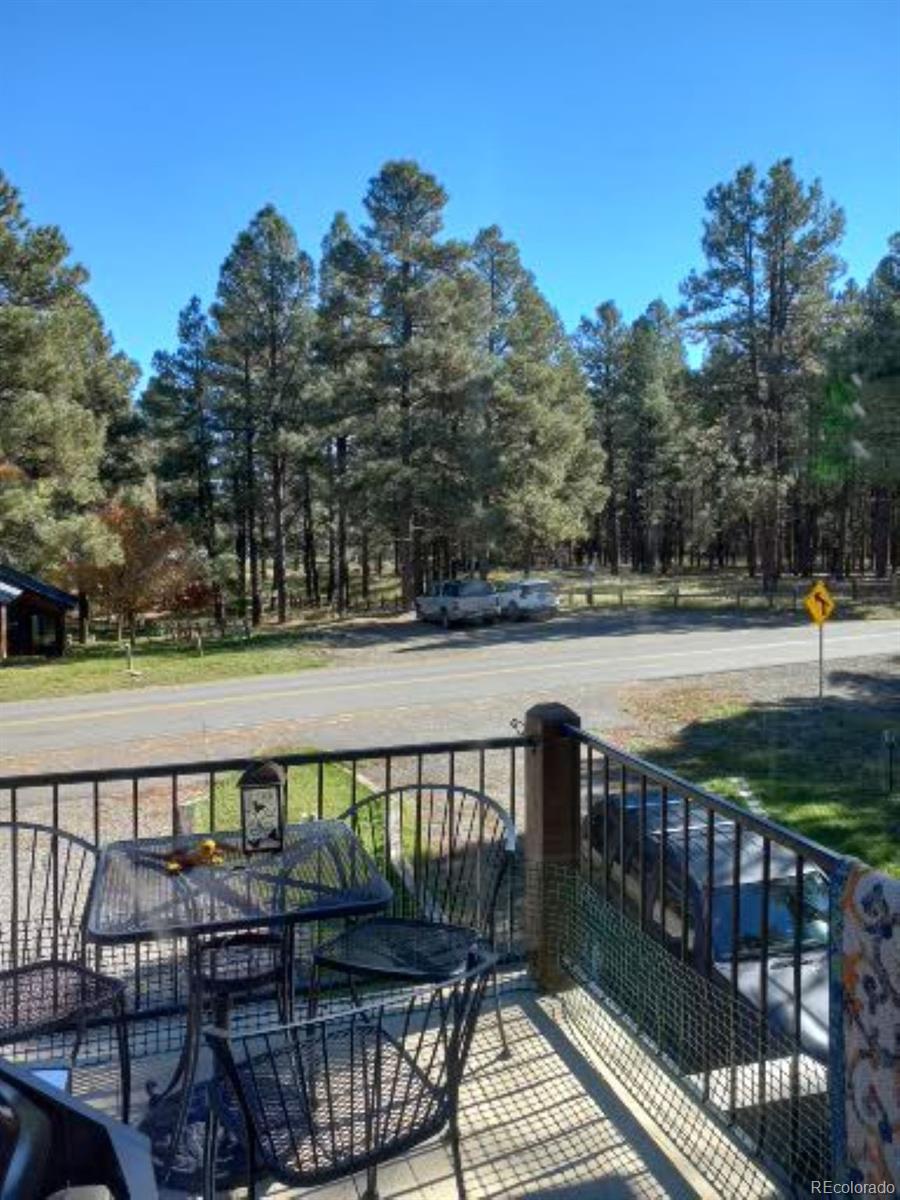 MLS Image #24 for 840  cloud cap avenue,pagosa springs, Colorado
