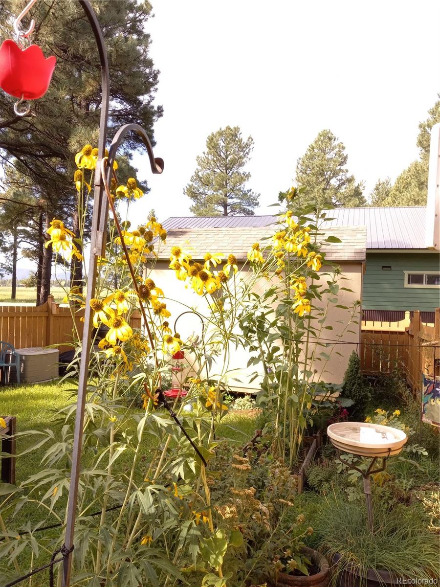 MLS Image #31 for 840  cloud cap avenue,pagosa springs, Colorado