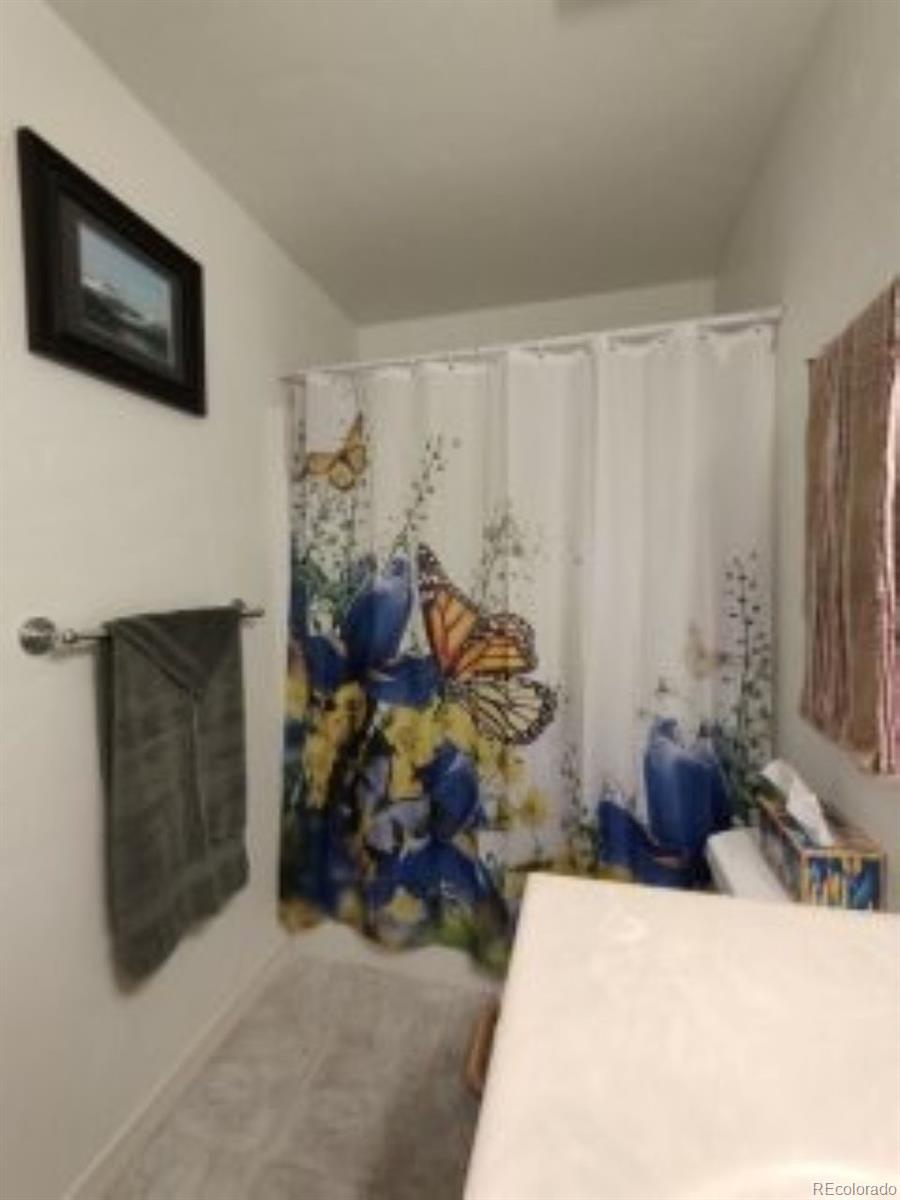 MLS Image #4 for 840  cloud cap avenue,pagosa springs, Colorado