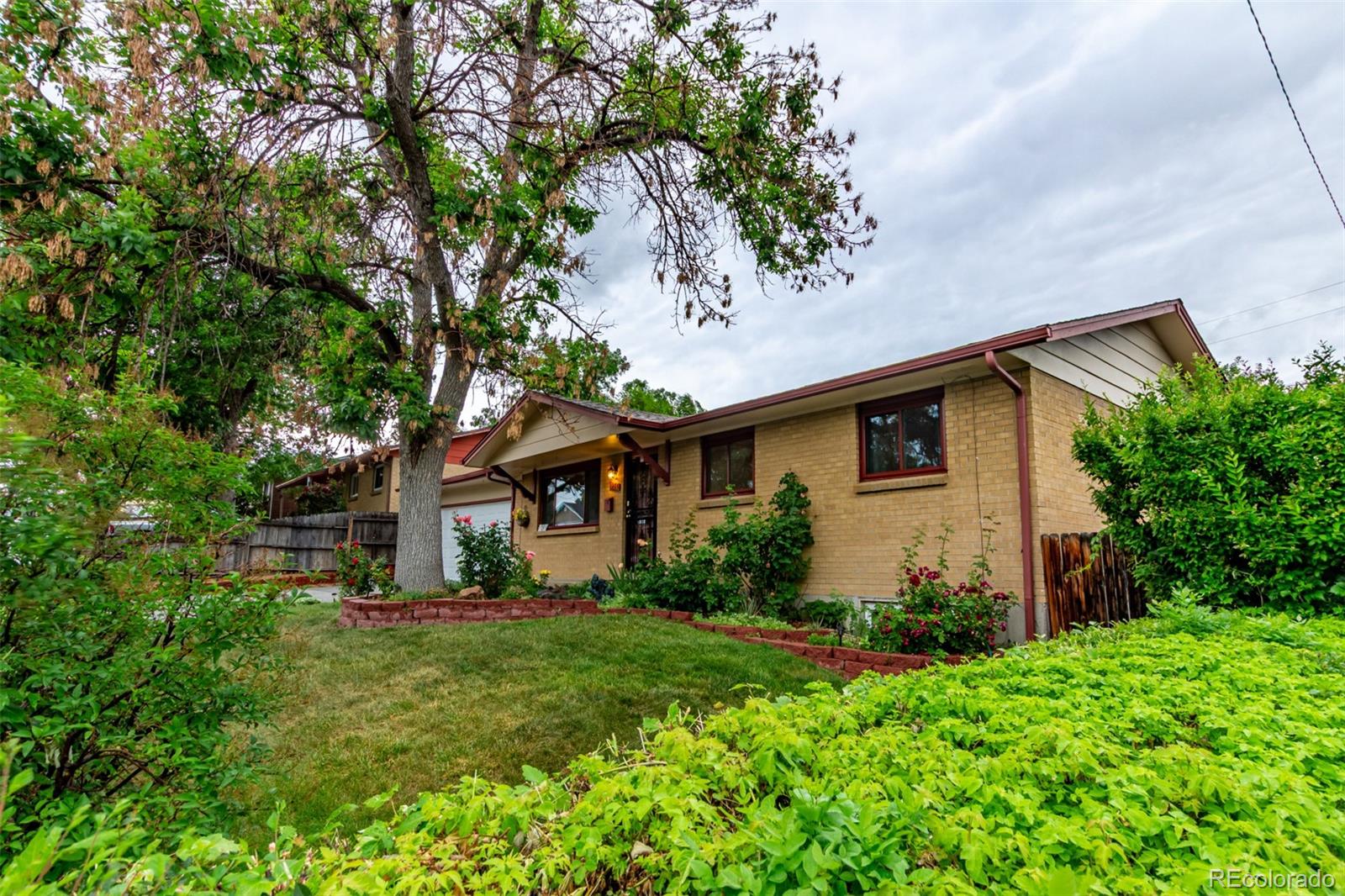 MLS Image #3 for 1285  elder street,denver, Colorado